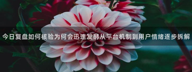 51吃瓜黑料网