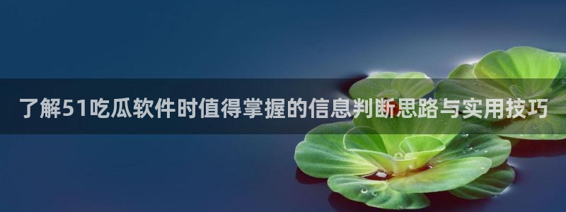 51吃瓜网页：了解51吃瓜软件时值得掌握的信息判断思路与实用技巧