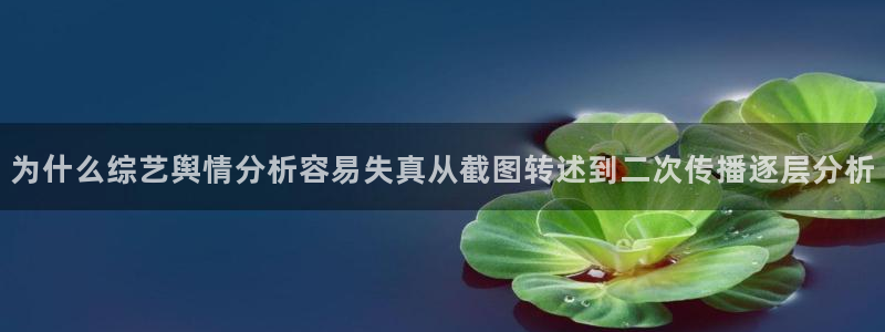 911吃瓜网：为什么综艺舆情分析容易失真从截图转述到二次传播逐层分析