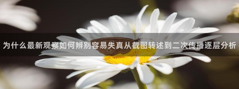 91吃瓜在线