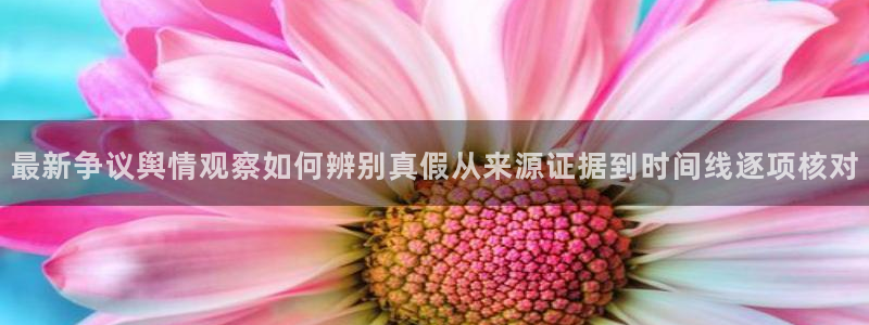 黑料吃瓜在线观看:最新争议舆情观察如何辨别真假从来源证据到时间线逐项核对