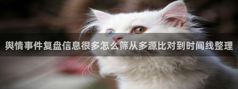 黑料网吃瓜：舆情事件复盘信息很多怎么筛从多源比对到时间线整理