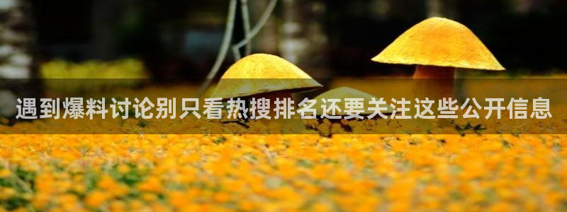 51 吃瓜：遇到爆料讨论别只看热搜排名还要关注这些公开信息