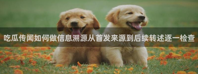 51吃瓜网最新入口：吃瓜传闻如何做信息溯源从首发来源到后续转述逐一检查