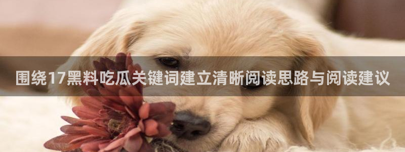 51吃瓜最新：围绕17黑料吃瓜关键词建立清晰阅读思路与阅读建议